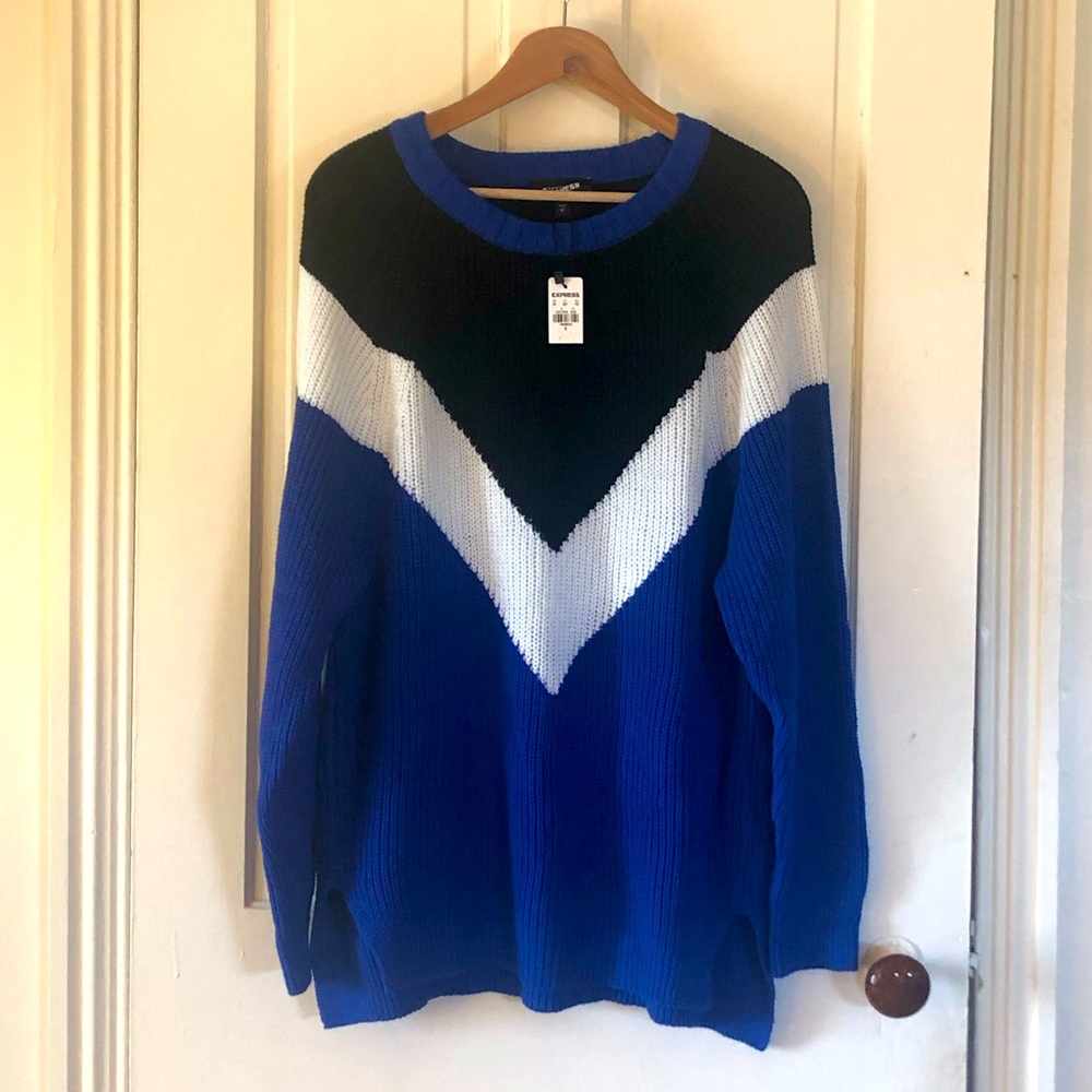 Express oversized sweater